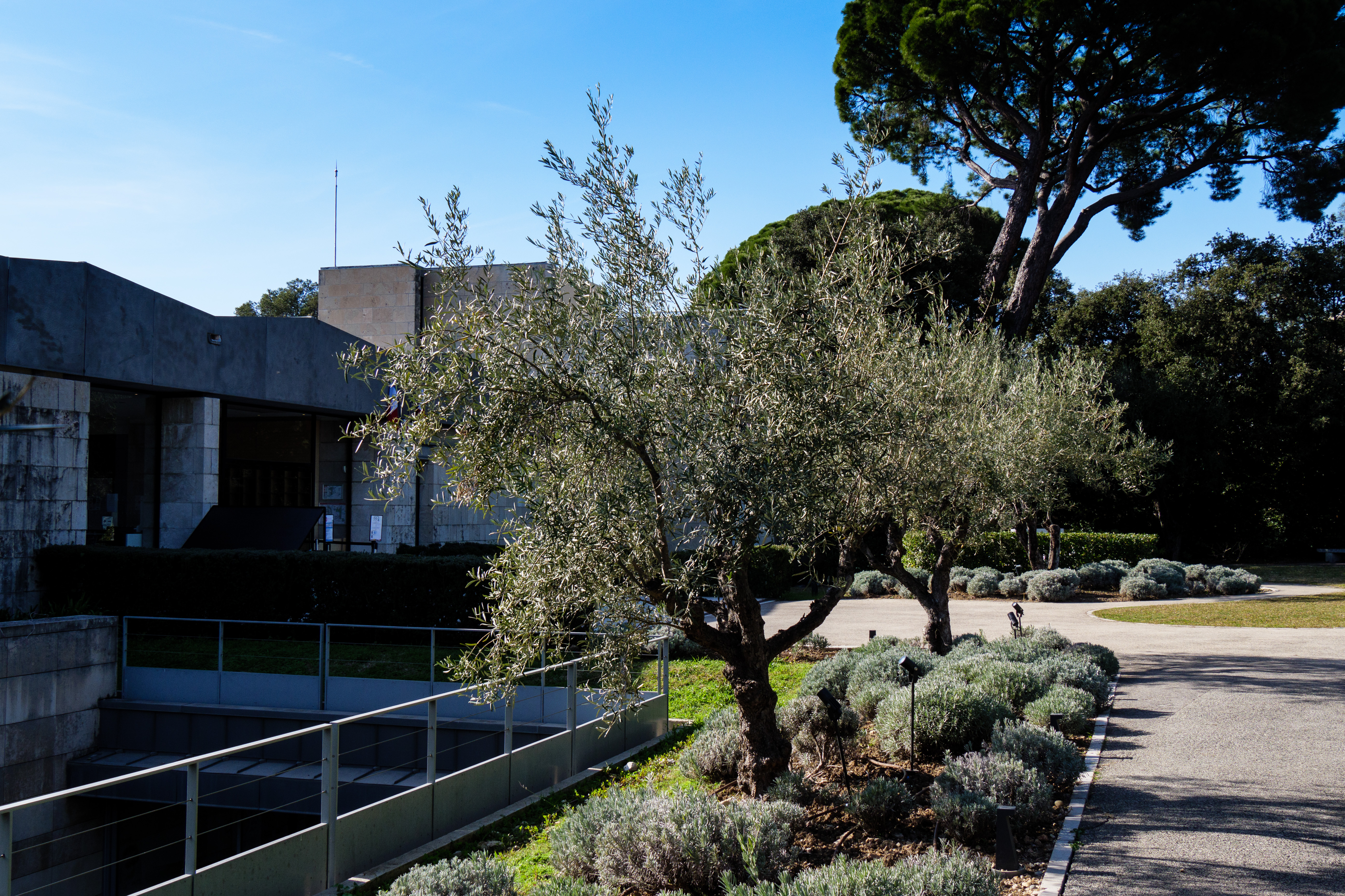 Chagall Museum, Nizza